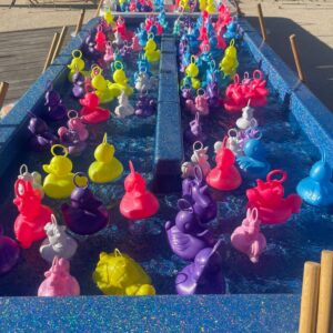 La pêche aux canards