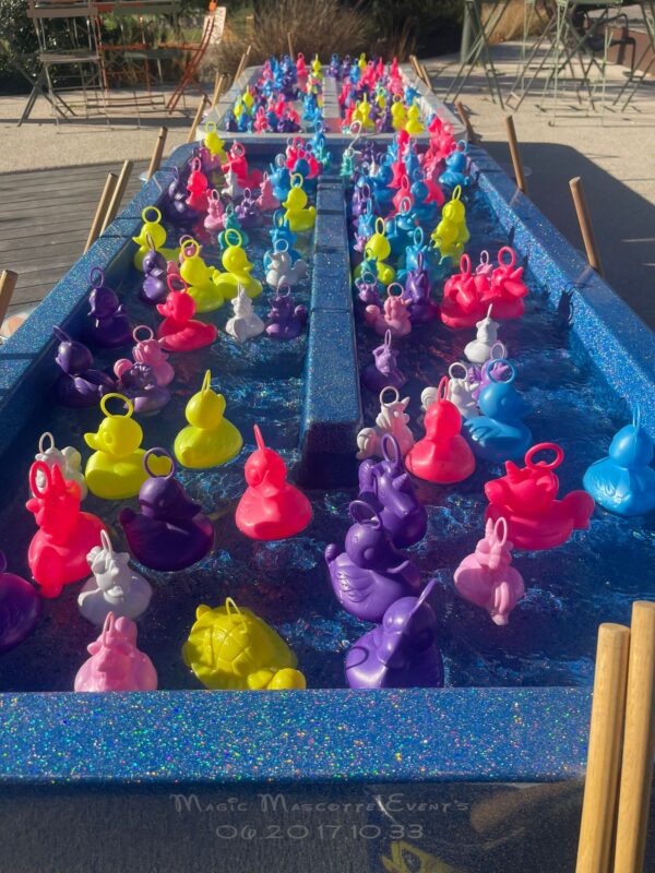 La pêche aux canards