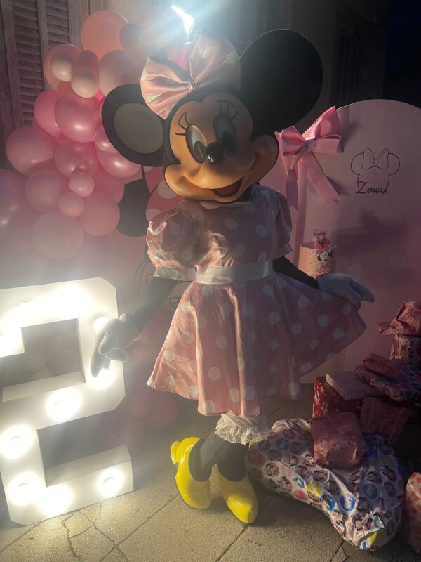 Mascotte Mini rose