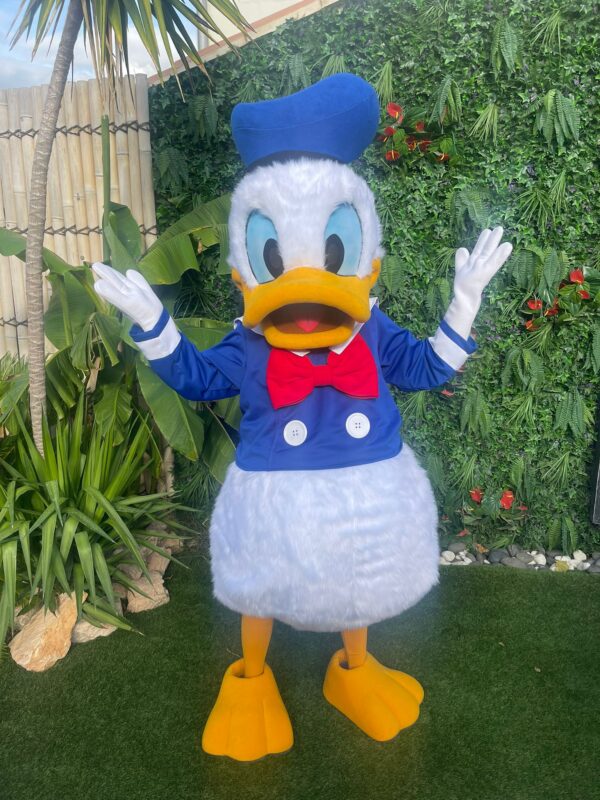 Mascotte Donald