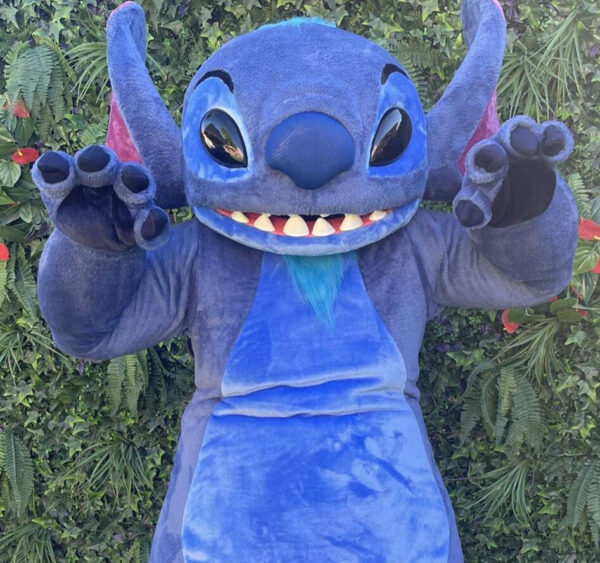 Meilleur service d'animation mascottes et structures gonflables en PACA